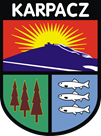 Webankieta