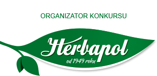 Webankieta