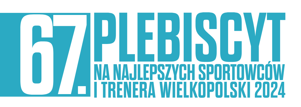Webankieta