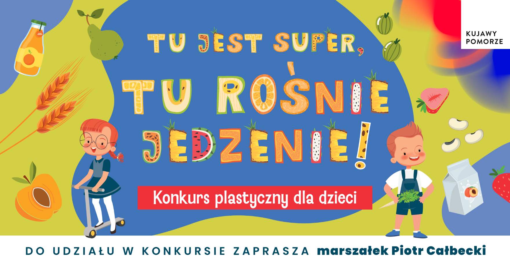 Webankieta
