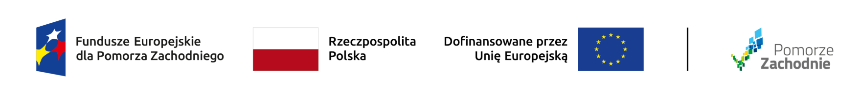 Webankieta