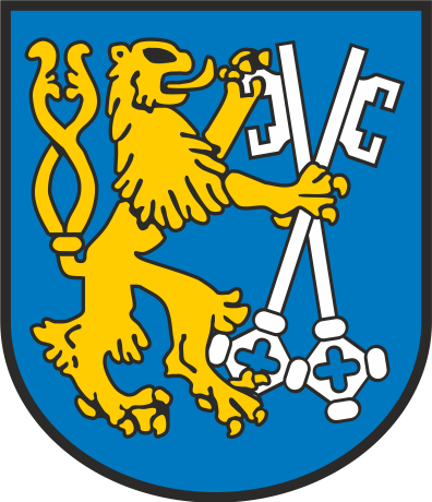 Webankieta